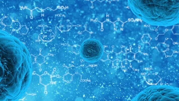 식물 동물 줄기 과학 백그라운드 추상 새로움 세포 현미경 사람 사람없음 뷰티 약 계란 시험 성장 돼지 원형 투명 바이러스 확대 질병 DNA 생물학 원자 분열 암 박테리아 곱셈 러시아인 발생 분할 에이즈 여의주 인플루엔자 MOV 해외동영상 클립영상 도형 서양인 교육 컨셉 무늬 포유류 의학 실험기구 알 수학 생명공학 동영상 파일형식
