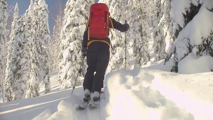 계절 남자 스포츠 여행 겨울 배낭 모션 하늘 아침 휴가 스키 산 한명 야외 뒷모습 태양 걷기 힘 등산 트래킹 하이킹 자유 흰색 승차 숲 가루 스키선수 전나무 무료 시베리아 눈내림 4K MP4 해외동영상 클립영상 주간 자연요소 나무 1 뷰포인트 컬러 컨셉 가방 레저 겨울스포츠 운동선수 눈_날씨 사람 동영상 파일형식