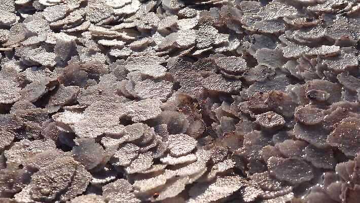 호수 바다 백그라운드 자연 사람없음 야외 물 흰색 약초 크리스탈 휴양지 진흙 결정체 지구온난화 내추럴 우크라이나 짠맛 오데사 4K MP4 해외동영상 클립영상 자연요소 유럽 컬러 장소 풀_식물 맛 광석 생태계 동영상 기후변화 파일형식