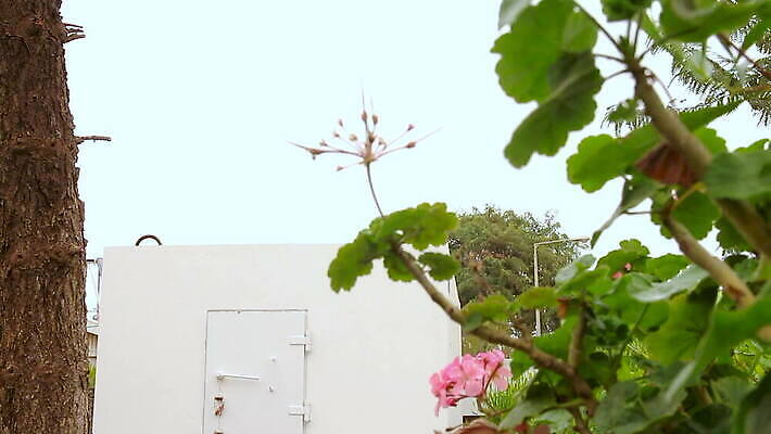 식물 중동 건축양식 모바일 주택 안전 사람없음 야외 건물 금속 정원 로켓 도시 행운 보호 위험 폭격 폭탄 전쟁 보안 고립 이스라엘 MOV 해외동영상 클립영상 건축물 건축 나라 컨셉 재질 공격 폭발물 동영상 서아시아 파일형식