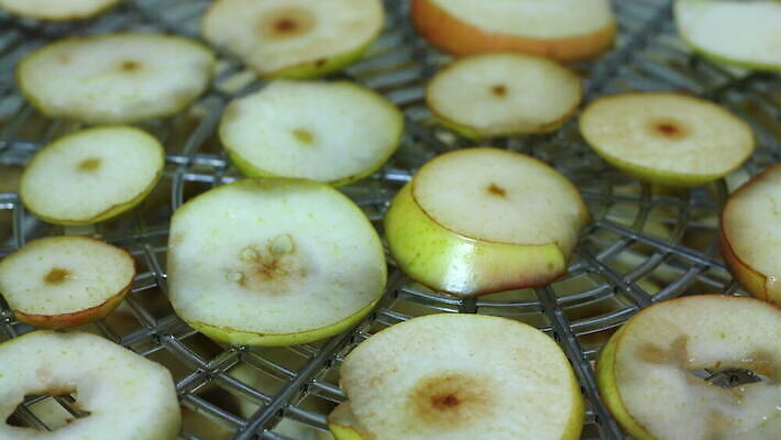 음식 과일 건조 건강 사람없음 기계 시간 탈수 4K 타임랩스 MOV 해외동영상 클립영상 촬영기법 동영상 파일형식