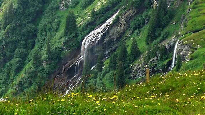꽃 자연 산 경사 사람없음 초록색 물 강 계곡 힘 폭포 흐름 개울 황무지 스위스 알프스 내추럴 베른 중력 MP4 해외동영상 클립영상 자연요소 식물 유럽 컬러 컨셉 생태계 동영상 파일형식