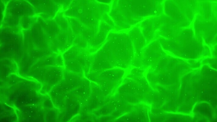 디자인 컬러 백그라운드 이동 패턴 표면 불꽃 미술 사람없음 초록색 빛 액체 질감 4K MOV 해외동영상 클립영상 컨셉 무늬 불 문화예술 동영상 파일형식