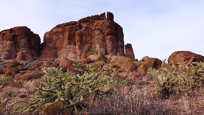 식물 꽃 분홍색 백그라운드 꽃무늬 과일 자연 날씨 선인장 건조 풍경 사람없음 초록색 여름 파란색 컬러풀 보라색 사막 뜨거움 가시 냄비 척추 내추럴 다육식물 4K MP4 해외동영상 클립영상 계절 컬러 무늬 뼈 솥 생태계 동영상 파일형식