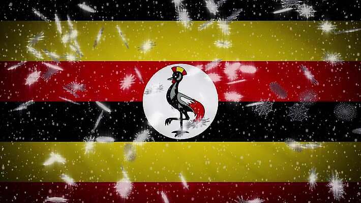 디자인 행복 백그라운드 크리스마스 겨울 패턴 모션 아프리카 바람 휴가 기념 사람없음 컴퓨터그래픽 파란색 빛 뷰티 냉동 축제 추위 축하 깃발 직물 눈송이 고리 떨어짐 묘기 연도 디지털합성 법 해피뉴이어 스포트라이트 애니메이션 눈보라 공화국 우간다 4K MOV 해외동영상 클립영상 자연요소 계절 기념일 감정 나라 컬러 컨셉 무늬 날씨 눈_날씨 그래픽 새해인사 동영상 파일형식