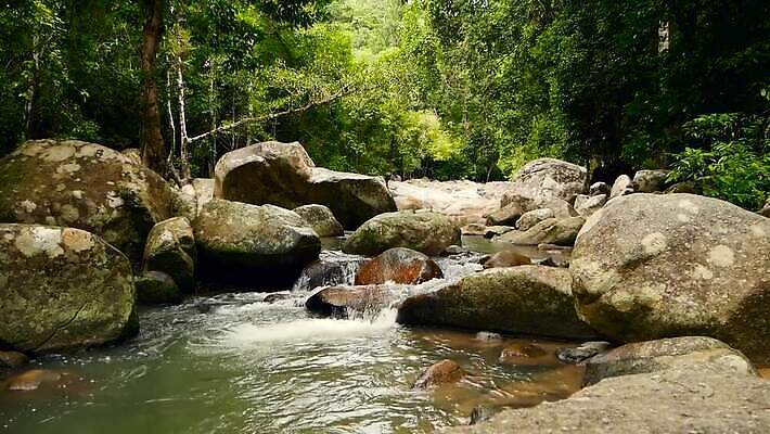나무 식물 백그라운드 단풍 잎 자연 휴식 산 사람없음 강 반사 평화 스파 고요 폭포 젖음 흐름 덮개 신선 개울 황무지 분위기 숲 열대우림 순수 명상 깊이 삼림지대 이국적 지속성 파라다이스 스플래쉬 반복 MP4 해외동영상 클립영상 컨셉 뚜껑 생태계 동영상 파일형식