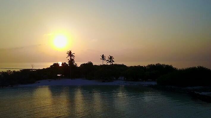 나무 여행 백그라운드 자연 사람없음 물 모래사장 일몰 흰색 휴양지 파라다이스 MP4 해외동영상 클립영상 자연요소 식물 바다 컬러 노을 장소 생태계 동영상 파일형식