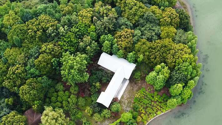 나무 식물 응시 공원 호수 바다 섬 여행 백그라운드 자연 휴가 휴식 안테나 동양인 사람없음 야외 목재 초록색 물 파란색 여행객 꿈 성장 숲 싱글 청록색 내추럴 정교 4K MP4 해외동영상 클립영상 자연요소 시선 공공시설 컬러 컨셉 재료 통신 사람 인종 생태계 동영상 파일형식