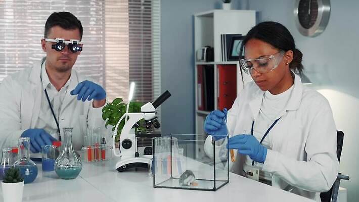 동물 음식 실험 두명 검은색 관찰 액체 쥐 컨테이너 과학자 생물학 피펫 4K MOV 해외동영상 클립영상 직업 교육 산업 컬러 과학 모션 실험기구 사람 설치류 동영상 학자 파일형식