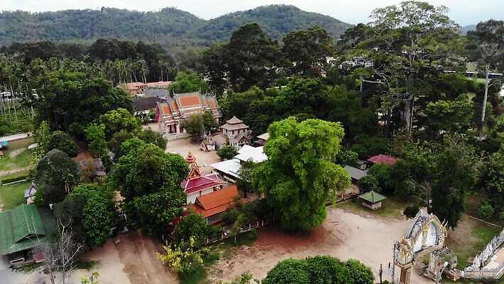 나무 전통 디자인 아시아 종교 문화 여행 불교 건축양식 태국 동양인 사람없음 야외 건물 목재 가로 초록색 성당 교회 탑 정원 기도 사찰 영혼 황금 클래식 숲 언덕 수도원 기념물 드론 사리탑 숭배 옛날 4K MP4 해외동영상 클립영상 식물 건축물 건축 나라 컬러 컨셉 재료 종교건축 인종 동영상 파일형식