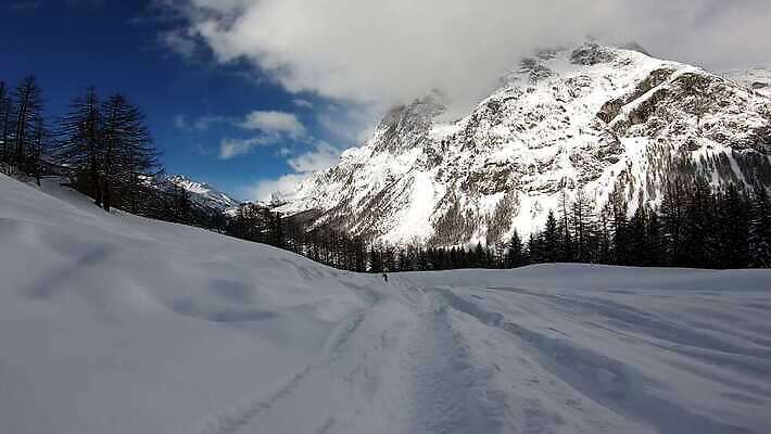 나무 계절 남자 스포츠 포즈 자연 하늘 휴가 스키 바닥 함께함 사람 경사 사람없음 흰색 승차 발사 스키선수 찬성 무료 무임승차 선로 산맥 4K MOV 해외동영상 클립영상 식물 컬러 컨셉 모션 겨울스포츠 산 운동선수 생태계 동영상 파일형식