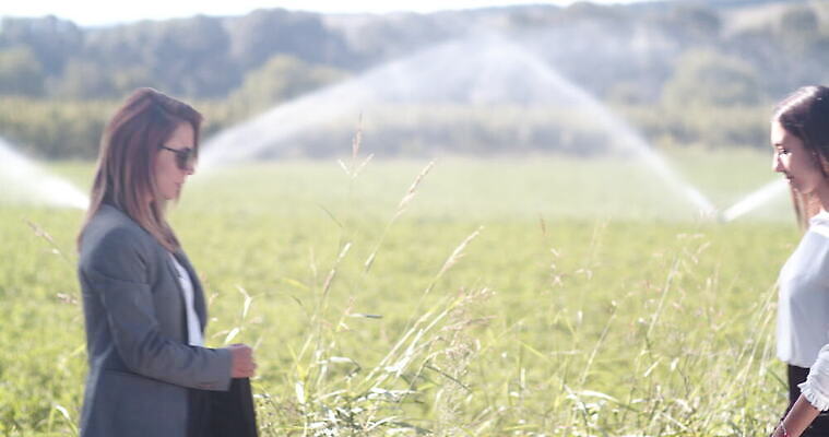 식물 백인 산업 2 밭 농업 비즈니스 자연 성공 협력 악수 관리 사람 정장 성인 야외 두명 물 노트북 농작물 농경지 거래 시골 업무 비즈니스맨 비즈니스우먼 닫기 땅 밀 뿌리기 흔들림 만족 분무기 시스템 떨림 밭일 스프링쿨러 4K MOV 해외동영상 클립영상 자연요소 서양인 옷 여자 남자 감정 컨셉 모션 곡류 손짓 전자제품 농장 작업 직장인 생태계 동영상 파일형식