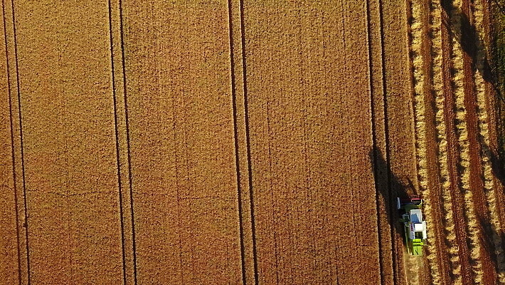 선 패턴 밭 농업 독일 사람없음 야외 농작물 줄무늬 운전 수확 성장 농촌 시골 작업 황금 결합 낟알 밀 기하학 거인 항공촬영 조감도 4K MOV 해외동영상 클립영상 유럽 산업 뷰포인트 무늬 모션 곡류 동영상 파일형식