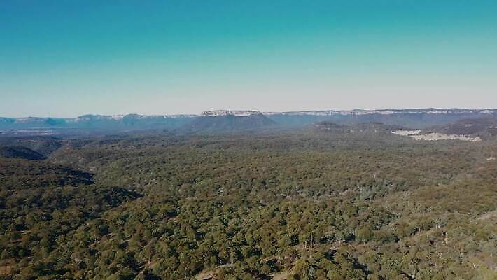 나무 식물 여행 잎 자연 하늘 산 안테나 풍경 사람없음 야외 초록색 파란색 갈색 환경 계곡 호주 언덕 생태계 드론 생태학 4K MP4 해외동영상 클립영상 교육 컬러 통신 오세아니아 동영상 파일형식