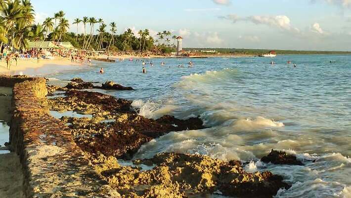 밧줄 모래 파도 바다 백그라운드 자연 조류 낚시 어류 사람 사람없음 야외 물 야자수 항구 시간 숲 나룻배 라틴아메리카 방파제 느림 도미니카공화국 열대기후 이국적 터키석 파나마 4K MP4 해외동영상 슬로모션 클립영상 자연요소 나무 동물 공공시설 줄 배_교통 교통시설 레저 촬영기법 아메리카 수중동물 남아메리카 보석 생태계 동영상 파일형식