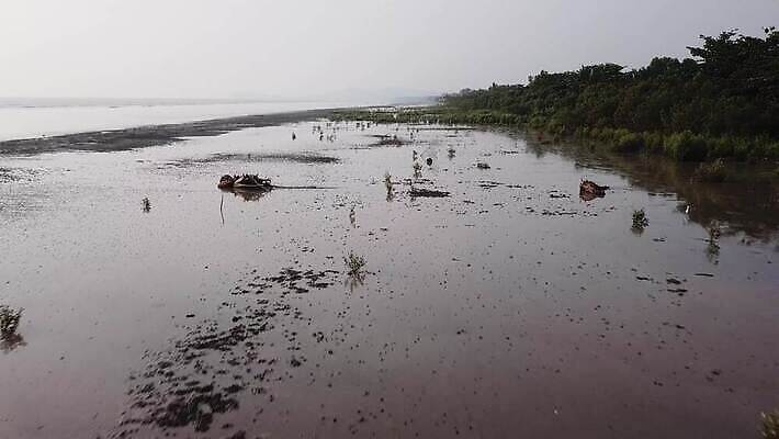 나무 백그라운드 조류 해변 사람없음 초록색 물 파란색 환경 성장 썰물 뿌리 진흙 말레이시아 땅바닥 4K MOV 해외동영상 클립영상 자연요소 식물 동물 아시아 바다 컬러 바닥 동영상 파일형식