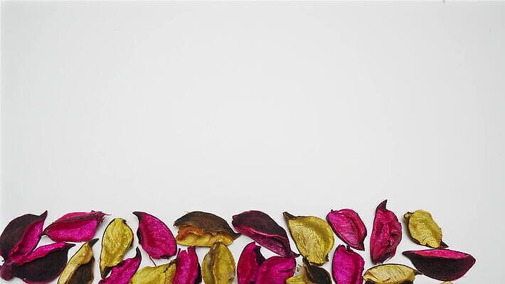 나무 식물 디자인 계절 공원 컬러 백그라운드 단풍 잎 패턴 오렌지 추상 건조 사람없음 야외 목재 장식 빨간색 초록색 컬러풀 갈색 노란색 환경 활발 가을 흰색 황금 숲 9월 11월 묘사 유기농 질감 10월 내추럴 고립 MOV 해외동영상 클립영상 웰빙 공공시설 컨셉 무늬 과일 재료 날짜 동영상 파일형식