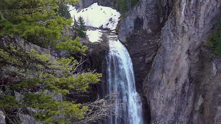 나무 자연 산 사람없음 야외 물 강 골짜기 폭포 흐름 신선 개울 숲 삼림지대 워싱턴 전국 지질학 로키산맥 4K MP4 해외동영상 클립영상 자연요소 식물 교육 컨셉 미국 생태계 동영상 파일형식