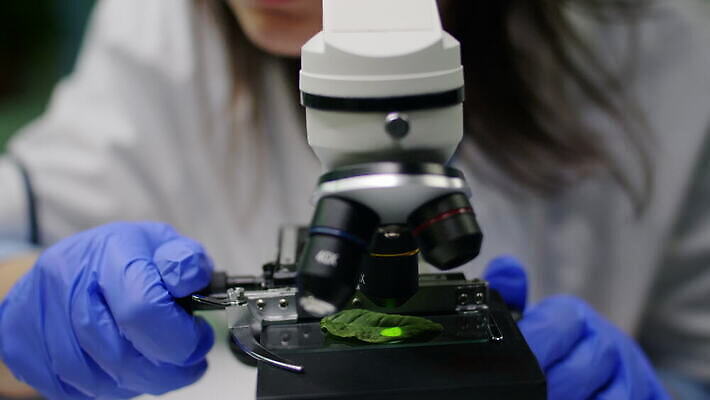 식물 과학 잎 농업 자연 유리 현미경 실험 사람없음 초록색 컴퓨터 환경 코트 관찰 타이핑 액체 그룹 실험실 생명공학 연구원 과학자 분석 에코 유기농 생물학 미생물 발견 조제 생태학 유전 유전자변형 피펫 화학물질 4K MOV 해외동영상 클립영상 직업 웰빙 교육 산업 컬러 컨셉 의학 모션 재질 생물 실험기구 전자제품 약 외투 화학 생태계 만들기 동영상 학자 파일형식