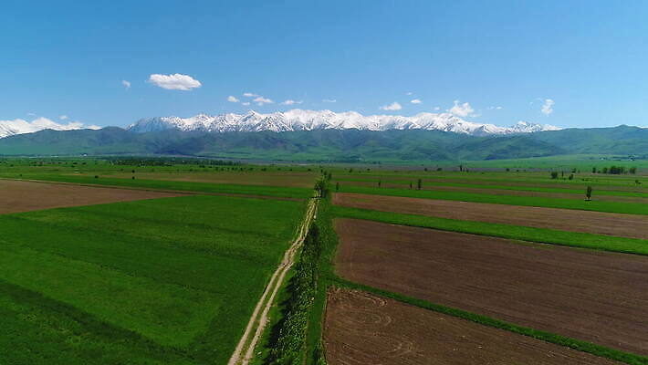 나무 백그라운드 밭 농업 자연 하늘 산 안테나 사람없음 초록색 파란색 봄 수확 시골 드론 키르기스스탄 4K MOV 해외동영상 클립영상 식물 계절 산업 컬러 통신 생태계 동영상 중앙아시아 파일형식