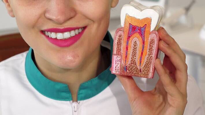 모델 직업 얼굴 성공 건강 치과 병원 한명 미소 사람 치료 약 건강관리 의사 업무 체험 입 치아 씻기 종업원 치과의사 턱 틀니 순서 곰팡이 보철 진짜 치아교정 4K 구강학 MOV 해외동영상 클립영상 1 컨셉 의학 표정 관리 신체부위 청결 의료진 작업 소화기관 교정 동영상 파일형식