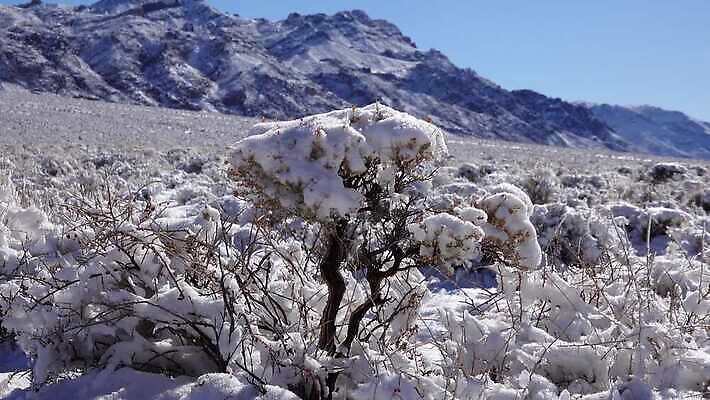 구름 공원 모래 여행 겨울 자국 자연 하늘 휴가 산 건조 파노라마 풍경 사람없음 야외 파란색 계곡 맑음 미국 트래킹 하이킹 사막 흰색 황무지 숲 언덕 캘리포니아 통과 내추럴 요세미티국립공원 전국 절정 4K MP4 해외동영상 클립영상 자연요소 계절 공공시설 컬러 북아메리카 레저 날씨 촬영기법 국립공원 생태계 동영상 파일형식