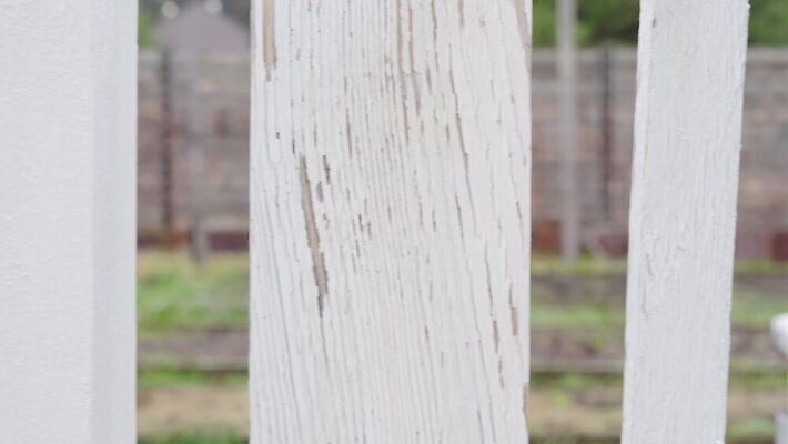 백그라운드 이동 거리 사람없음 목재 울타리 페인트 봄 외계인 흰색 판넬 질감 바둑 평행 채소밭 4K MP4 해외동영상 클립영상 나무 계절 컬러 컨셉 밭 재료 놀이 담장 미확인물체 동영상 파일형식