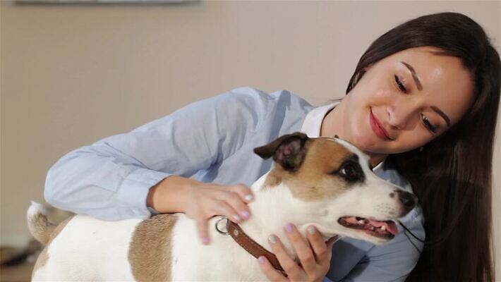 동물 백인 직업 행복 관계 병원 종류 한명 미소 치료 약 침묵 코트 흰색 닫기 개 쥐 테리어 꼬리 부드러움 잭 주인 잡종 수의사 송곳니 기르기 돌봄 복종 섞기 타격 MP4 해외동영상 클립영상 서양인 1 감정 컬러 포유류 의학 모션 표정 사람 소리 외투 의사 감각 치아 설치류 동영상 파일형식