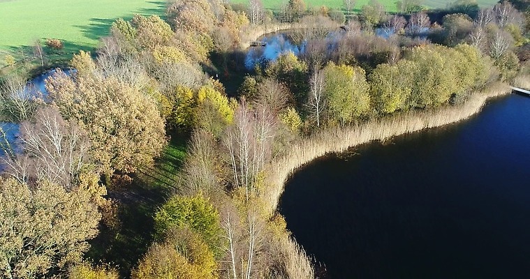 나무 계절 컬러 여행 백그라운드 잎 오렌지 자연 독일 따뜻함 안테나 사람없음 야외 초록색 빛 컬러풀 노란색 환경 시골 황무지 황금 정상 숲 생태계 느림 내추럴 항공촬영 넘어짐 드론 4K MOV 해외동영상 클립영상 식물 유럽 뷰포인트 과일 통신 모션 동영상 파일형식