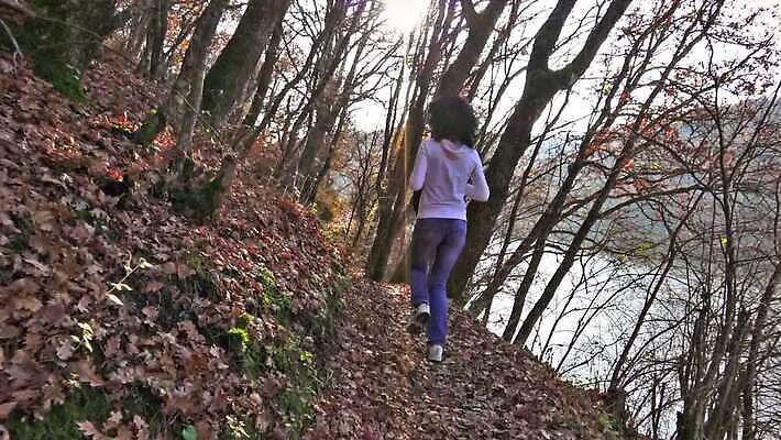 나무 1 라이프스타일 웰빙 옷 공원 행복 스포츠 포즈 모션 자연 휴식 건강 사람 성인 사람없음 야외 달리기 조깅 운동 힘 활발 숲 오솔길 심볼 연습 느림 추적 주자 유일 HD MOV 해외동영상 슬로모션 클립영상 식물 공공시설 감정 길 컨셉 촬영기법 생활 생태계 동영상 파일형식