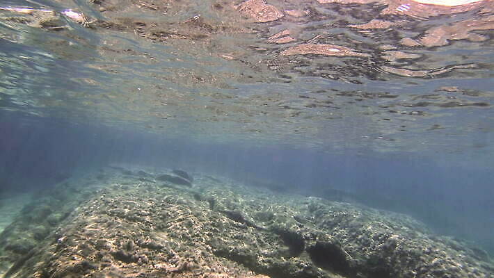 동물 야생동물 바다 컬러 여행 백그라운드 자연 멕시코 어류 사람없음 빨간색 물 여름 파란색 빛 햇빛 태양 뷰티 수중 수영 광선 동굴 산호 아래 사진사 생태계 다이빙 장면 암초 깊이 칸쿤 4K 수중영상 MOV 해외동영상 클립영상 자연요소 계절 북아메리카 수중동물 수상스포츠 자포동물 방향 작가 위치 동영상 수중스포츠 파일형식