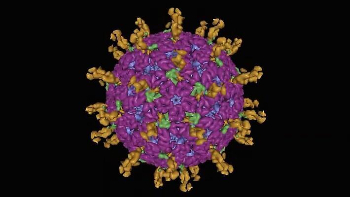 모델 컬러 백그라운드 패턴 모션 표면 봉투 사람없음 그래픽 초록색 컬러풀 약 3D 바이러스 질병 만화 흰배경 생물학 감염 원자 미생물 층 애니메이션 기하학 고립 단백질 대칭 엘리먼트 규칙적 MP4 해외동영상 클립영상 교육 컨셉 무늬 의학 생물 흰색 디지털합성 동영상 영양소 파일형식