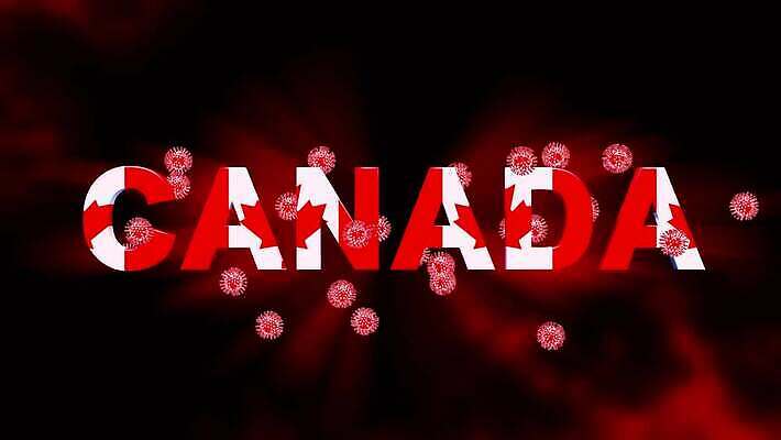 컨셉 단풍 캐나다 세포 실험 사람없음 글로벌 3D 중국 고통 죽음 깃발 바이러스 질병 위험 예방 감염 애니메이션 백신 벤쿠버 전염병 증상 사스 코로나바이러스 4K 락다운 MOV 해외동영상 클립영상 감정 아시아 잎 북아메리카 의학 디지털합성 동영상 파일형식