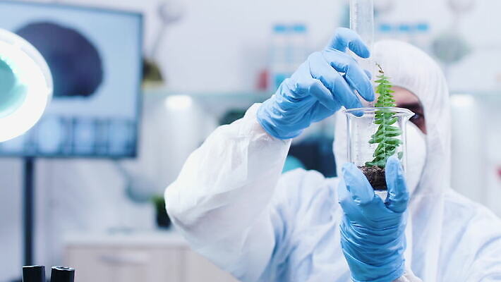 식물 직업 1 교육 산업 과학 잎 자연 노동자 자 현미경 실험 작업복 가면 사람 사람없음 초록색 장비 시험 성장 흰색 작업 실험실 보호 생명공학 연구원 과학자 확인 대학교 생물학 길이 공학 내추럴 묘목 유전 유전자변형 4K MOV 해외동영상 클립영상 나무 옷 컬러 컨셉 의학 학교 문구용품 실험기구 생태계 동영상 학자 파일형식