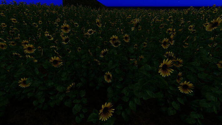 식물 계절 꽃잎 꽃 백그라운드 잎 꽃무늬 밭 농업 오렌지 자연 하늘 해바라기 풍경 초원 사람없음 야외 초록색 여름 파란색 농작물 햇빛 태양 농장 노란색 일출 맑음 일몰 수확 성장 벚꽃 시골 개화 황금 땅 유기농 꽃가루 천국 내추럴 밭일 많음 4K MOV 해외동영상 클립영상 자연요소 웰빙 산업 컬러 컨셉 무늬 과일 날씨 노을 가루 생태계 동영상 파일형식