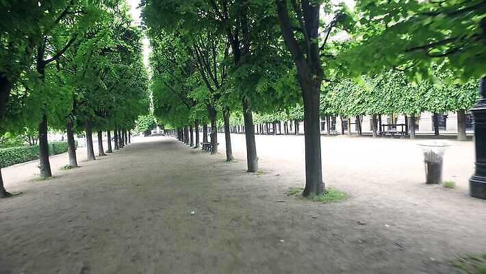 나무 식물 공원 유럽 문화 조각 여행 건축양식 자연 휴가 미술 사람없음 야외 건물 장식 초록색 정원 궁전 프랑스 도시 역사 재산 원예 프랑스어 랜드마크 옛날 웅장함 파리(프랑스) 4K MP4 해외동영상 클립영상 문자 건축물 공공시설 건축 나라 컬러 고건축 문화예술 취미 금융 생태계 동영상 파일형식