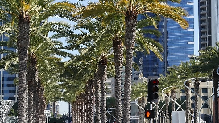 식물 단풍 회사 건축양식 부동산 미래 아파트 건설업 사람없음 건물 파란색 야자수 사무실 햇빛 탑 맑음 고층빌딩 미국 도시 투명 재산 고급 도심 큼 캘리포니아 타운 남쪽 진행 로스앤젤레스 혁명 구역 산티아고 서쪽 많음 4K MP4 해외동영상 클립영상 나무 건축물 건축 산업 컬러 컨셉 잎 북아메리카 비즈니스 날씨 주택 빌딩 금융 태양 크기 방향 동영상 파일형식