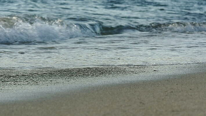 계절 모래 파도 바다 여행 백그라운드 자연 휴가 풍경 사람없음 야외 물 여름 파란색 모래사장 햇빛 노란색 우주 맑음 거품 흰색 서핑 작음 묘사 질감 암초 내추럴 그런지 MOV 해외동영상 슬로모션 클립영상 자연요소 컬러 날씨 촬영기법 태양 수상스포츠 크기 생태계 동영상 파일형식
