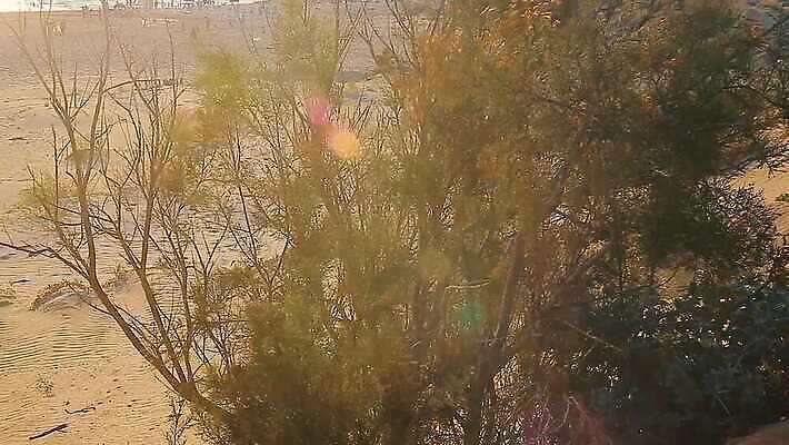 모래 바다 여행 창문 공장 자연 불 벽돌 주택 굴뚝 사람없음 건물 파란색 태양 교회 점프 일몰 놀람 이탈리아 낟알 영화관 버리기 필름 즐거움 아치 두브로브니크 유일 4K MP4 해외동영상 클립영상 자연요소 건축물 감정 유럽 컬러 공업 종교건축 모션 표정 노을 극장 생태계 크로아티아 동영상 파일형식