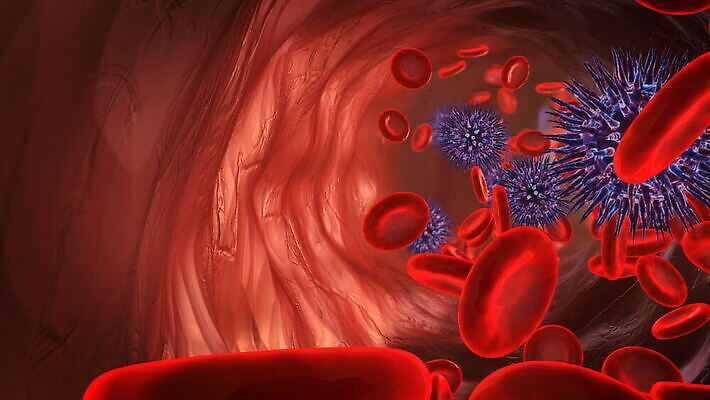 과학 세포 건강 병원 실험 사람없음 빨간색 약 3D 펼침 고통 흐름 죽음 혈액 바이러스 닫기 질병 유기농 생물학 만들기 감염 미생물 시스템 암 박테리아 동맥 정맥 면역력 에이즈 MOV 해외동영상 클립영상 웰빙 교육 감정 컬러 컨셉 의학 모션 생물 디지털합성 혈관 동영상 파일형식