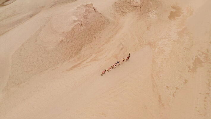 지구 모래 여행 백그라운드 밭 자연 휴가 산 건조 풍경 사람없음 야외 갈색 노란색 환경 중국 행성 사막 바위 황무지 승차 땅 모래언덕 언덕 부식 먼지 낙타 지역 사암 내추럴 땅바닥 서쪽 지질학 4K MOV 해외동영상 클립영상 교육 아시아 컬러 농업 포유류 모션 바닥 우주 돌_바위 방향 생태계 동영상 파일형식