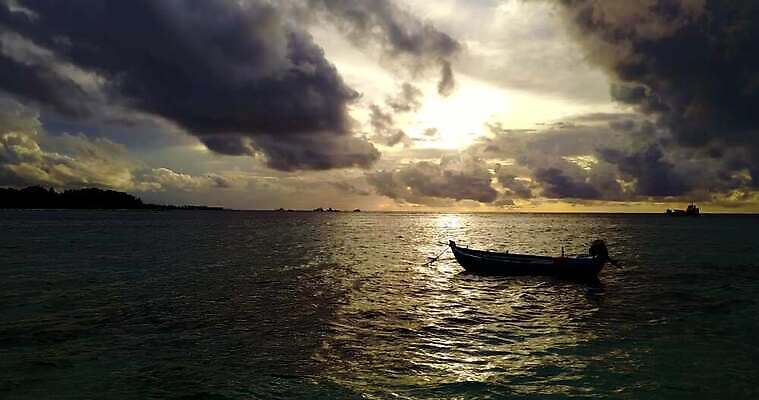 주간 행복 백그라운드 어류 사람없음 파란색 모래사장 수영 흰색 파라다이스 4K MOV 해외동영상 클립영상 자연요소 감정 바다 컬러 수중동물 수상스포츠 동영상 파일형식