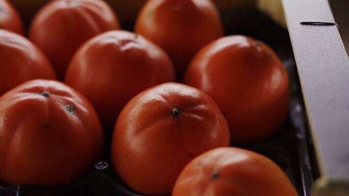 음식 오렌지 과일 감 사람없음 빨간색 상자 신선 달콤 설탕 비타민 숙성 식용 이국적 맛있는 4K MP4 해외동영상 클립영상 컬러 맛 동영상 영양소 파일형식