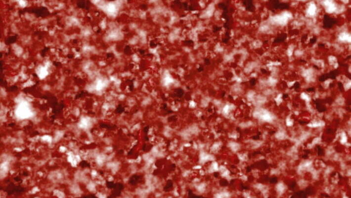 모양 디자인 백그라운드 패턴 신체 해부 자연 추상 미래 세포 건강 사람 사람없음 빨간색 빛 약 3D 디지털 에너지 의사 원형 혈액 오르간 바이러스 닫기 질병 자르기 묘사 유기농 질감 생물학 암 내추럴 에이즈 4K MOV 해외동영상 클립영상 도형 웰빙 교육 컬러 컨셉 무늬 의학 모션 의료진 건반악기 디지털합성 생태계 동영상 파일형식