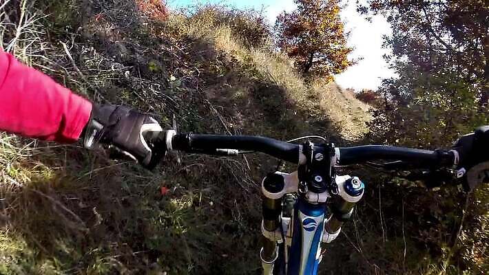 도로 스포츠 포즈 이동 자국 모션 산 건강 경사 사람없음 야외 운동 자전거 경쟁 승차 소프트포커스 숲 속도 흥분 사이클링 바이크레이서 바이킹 블러 산악자전거 1인칭시점 HD MOV 해외동영상 클립영상 시선 감정 길 컨셉 교통시설 촬영기법 바이크 육상스포츠 동영상 파일형식