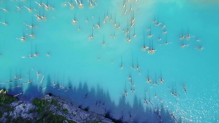 나무 공원 호수 여행 자연 하늘 산 안테나 파노라마 사람 풍경 사람없음 초록색 물 여름 파란색 계곡 침묵 산책 나뭇가지 소나무 정상 숲 지역 내추럴 항공촬영 드론 전국 카자흐스탄 알마티 MP4 해외동영상 클립영상 자연요소 식물 계절 공공시설 아시아 뷰포인트 컬러 통신 휴식 촬영기법 소리 생태계 동영상 파일형식