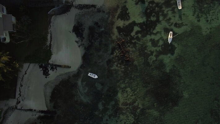 바다 섬 요트 자연 휴가 주택 안테나 손바닥 사람없음 물 파란색 항구 도시 만 보트 휴양지 타운 석호 항공촬영 드론 모리셔스 4K MOV 해외동영상 클립영상 자연요소 손 뷰포인트 컬러 배_교통 통신 교통시설 건물 장소 생태계 동영상 파일형식