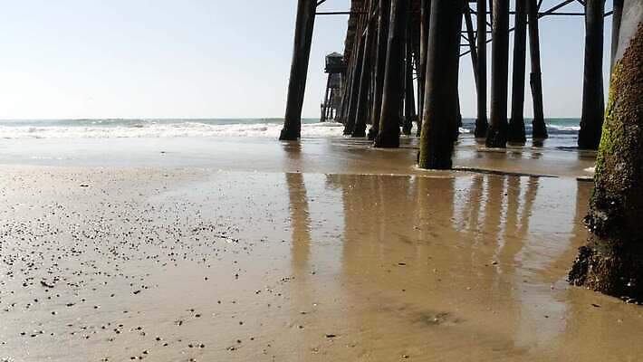 파도 바다 조류 휴가 해변 사람없음 목재 물 여름 항구 미국 산책로 기둥 아래 캘리포니아 로스앤젤레스 4K 오션사이드 산타모니카 MP4 해외동영상 클립영상 자연요소 나무 동물 계절 건축 길 북아메리카 재료 교통시설 방향 위치 동영상 파일형식