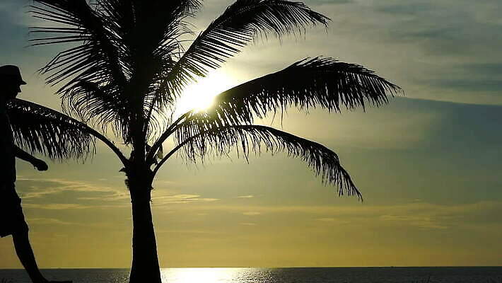 라이프스타일 커플 여자 남자 행복 실루엣 바다 여행 백그라운드 가족 모션 하늘 사람 성인 야외 물 태양 걷기 일출 일몰 저녁 MOV 해외동영상 클립영상 자연요소 감정 관계 촬영기법 생활 노을 야간 동영상 파일형식