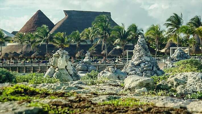 모래 파도 바다 섬 여행 우산 자연 휴가 휴식 멕시코 손바닥 해변 사람없음 관광지 야자수 태양 평화 일몰 뜨거움 충돌 묘사 휴양지 암초 마야 이국적 칸쿤 파라다이스 화창 MP4 해외동영상 클립영상 자연요소 나무 손 컨셉 북아메리카 날씨 노을 장소 생태계 마야문명 동영상 파일형식